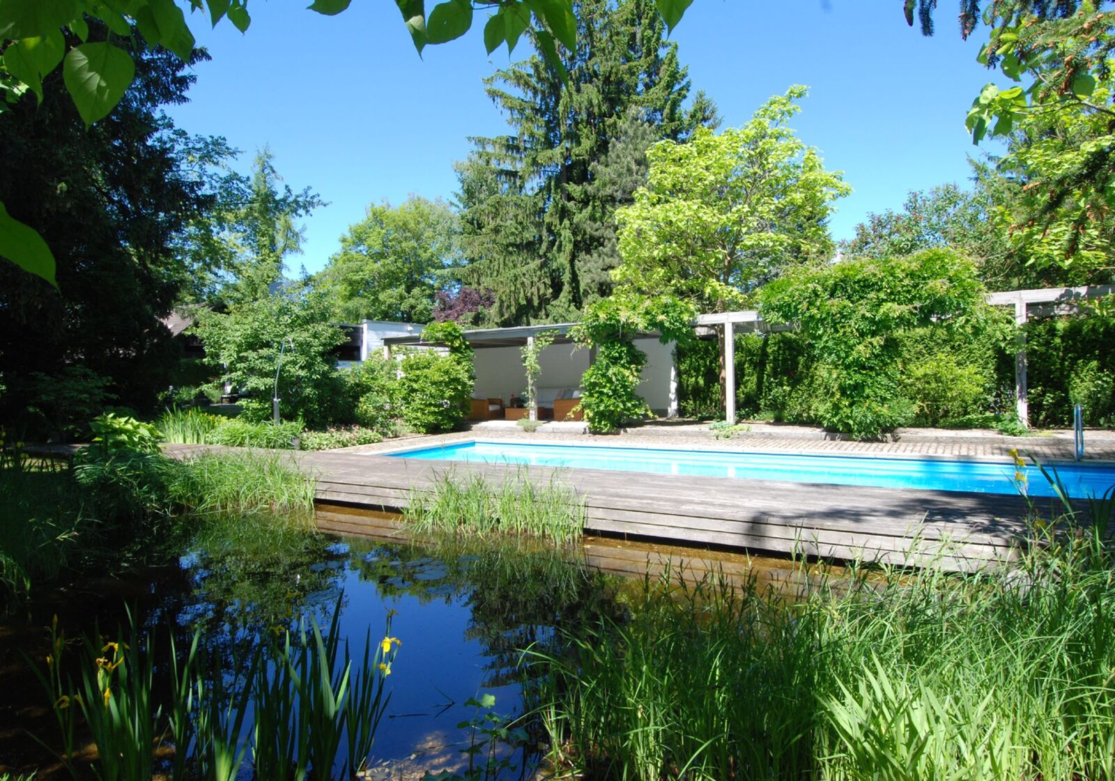 Parkartiger Garten