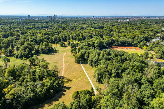 Englischer Garten