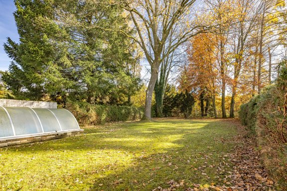 Prachtvoll eingewachsener Garten