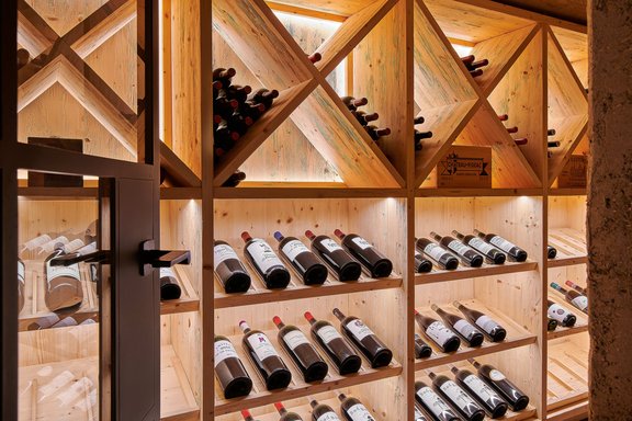 Professional wine cellar