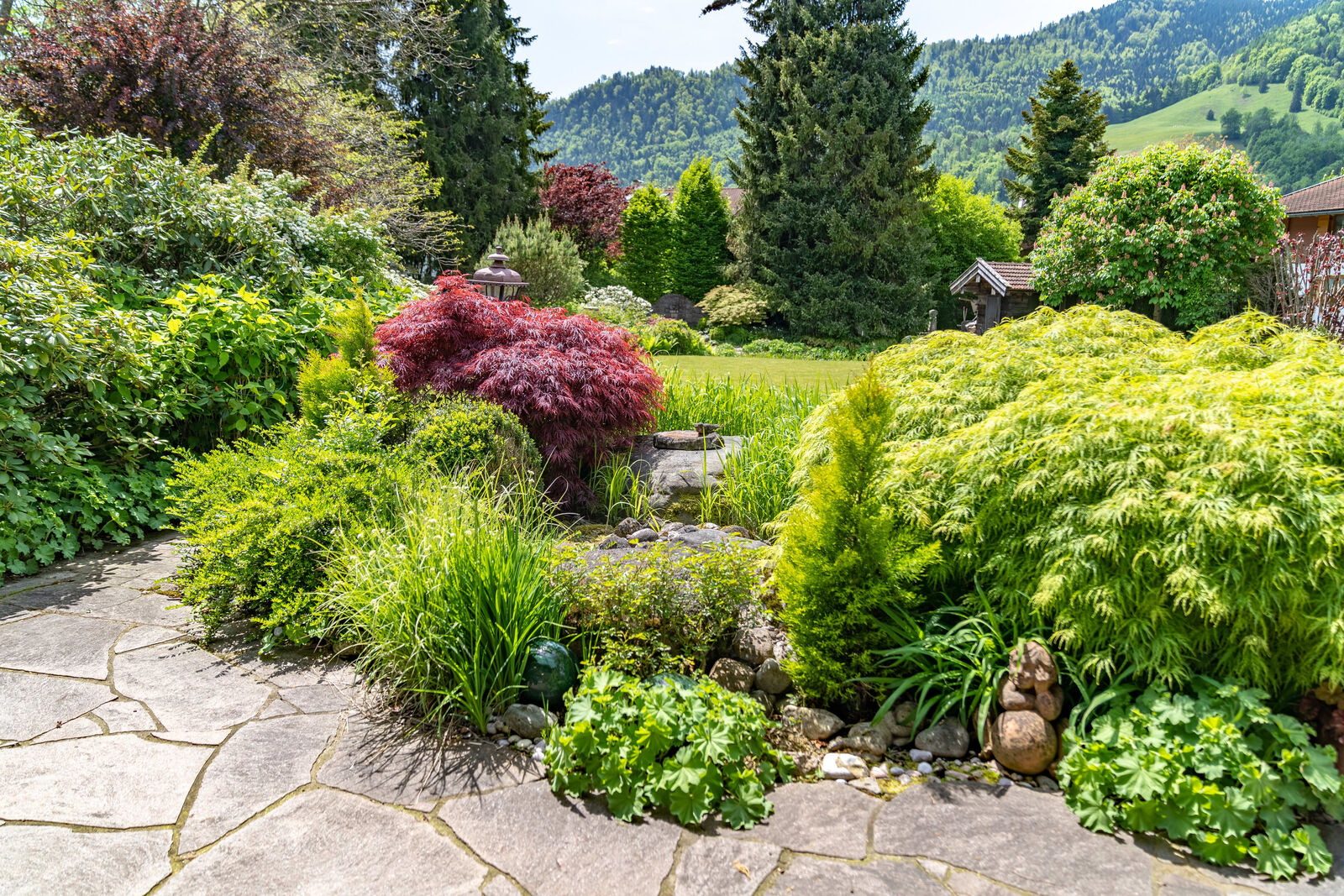 Sommerimpression Garten