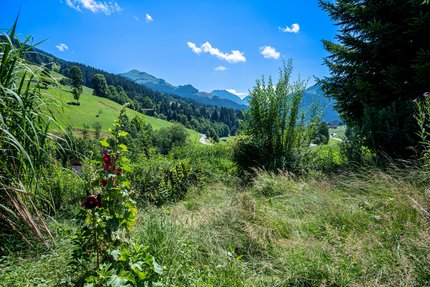 Umgebung des Grundstücks