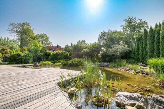 Naturbadeteich mit Sonnendeck