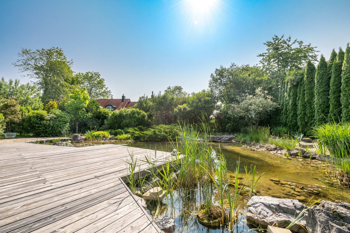 Natural bathing pond with sun deck