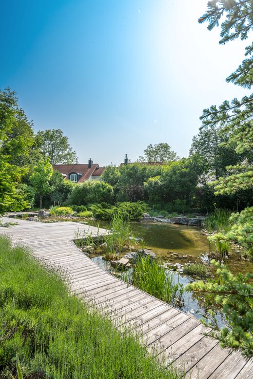 Naturbadeteich mit Sonnendeck