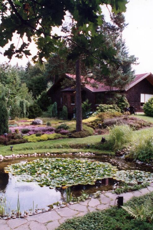 Garten im Sommer