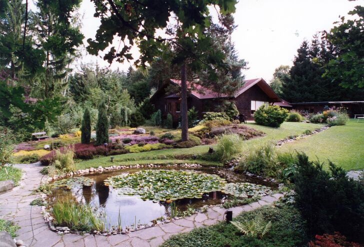 Garten im Sommer