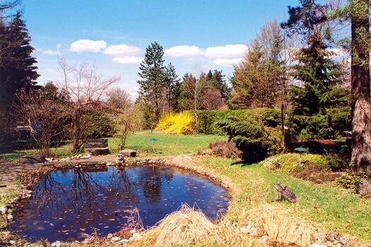 Pond