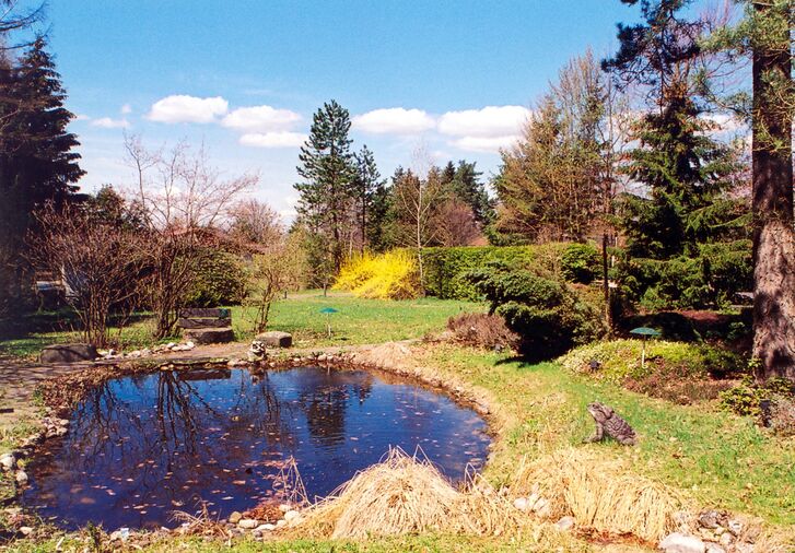Teich