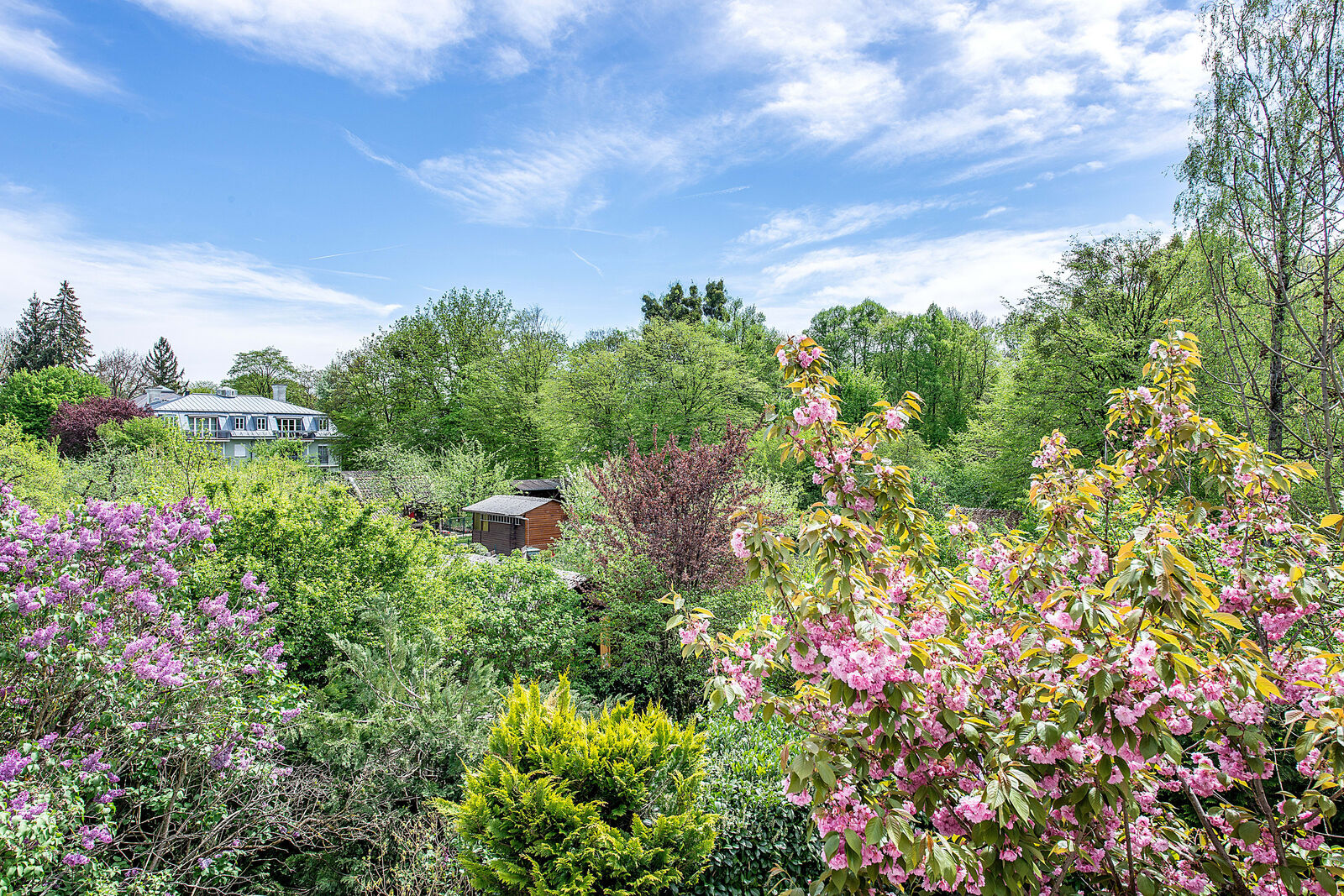 Ausblick vom Balkon