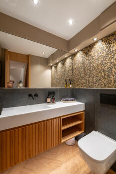 Stylish guest WC