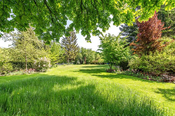 Parkähnlicher Garten