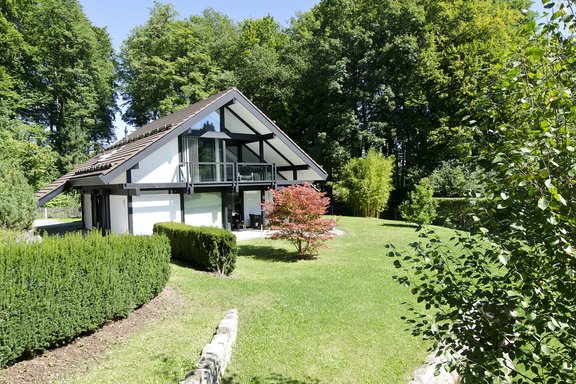 South garden with terrace