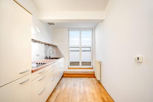 Kitchen in front of the roof terrace