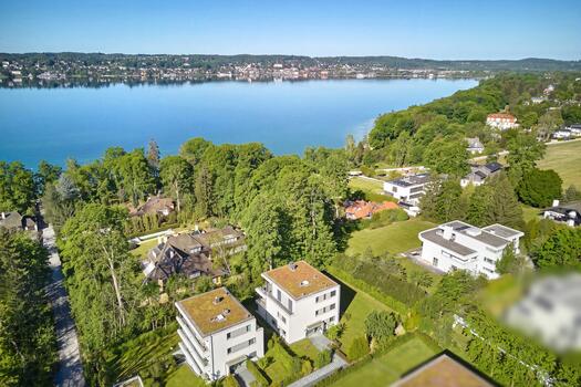 Views of the Lake