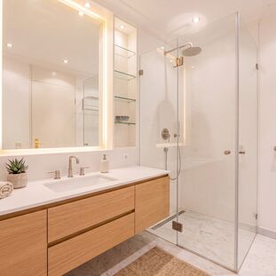 Visualized Bathroom