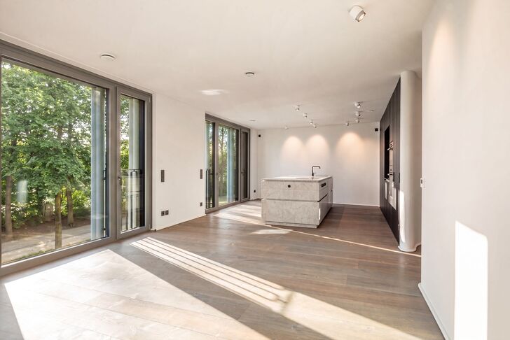A Harmoniously Integrated Kitchen