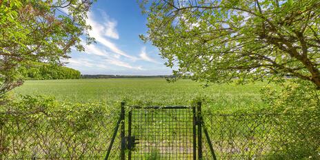 Unobstructed views of the countryside: A single-family home with a granny flat and a garden