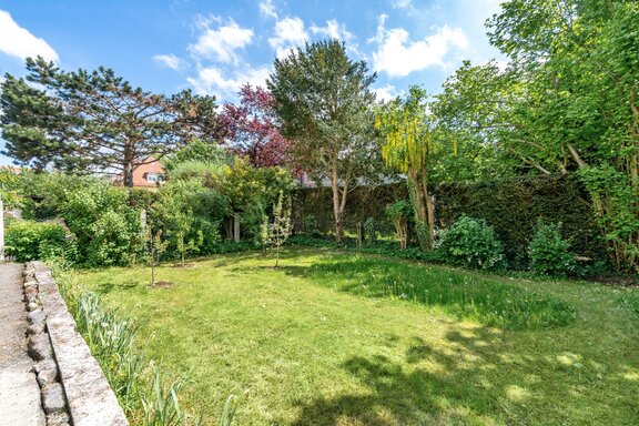 Eingewachsener Südgarten