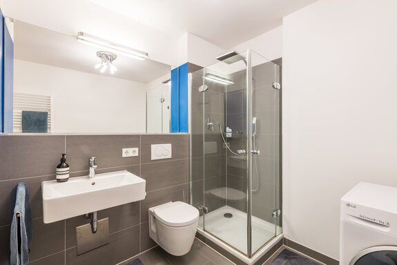 Stylish shower room