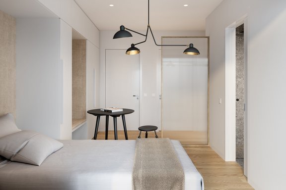 Integrated apartment with shower room (visualization)