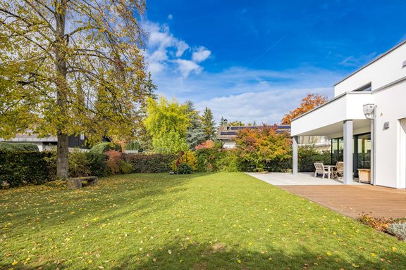 Sunny south-west garden