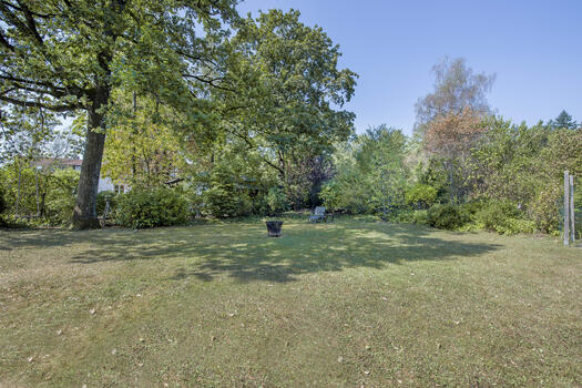Sunny garden