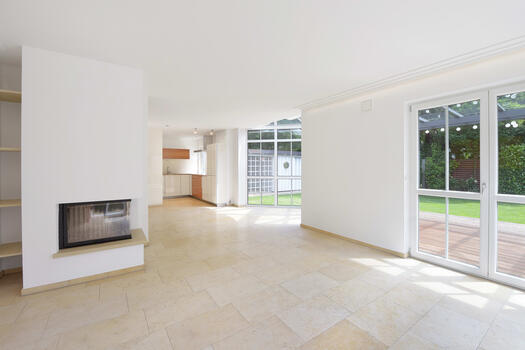 Living with fireplace