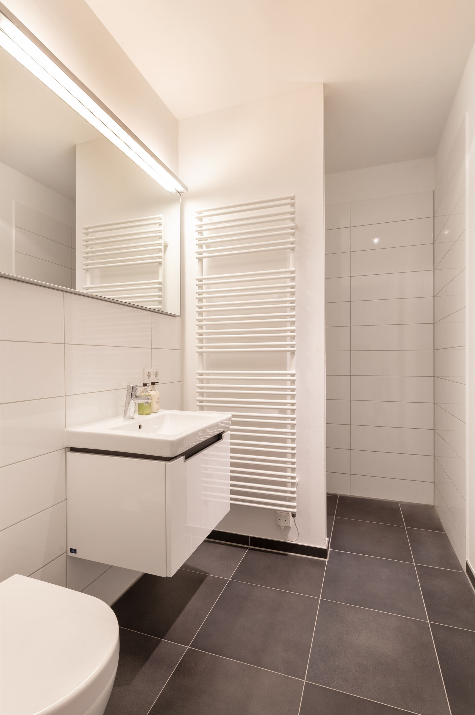 Duschbad mit Walk-in-Dusche