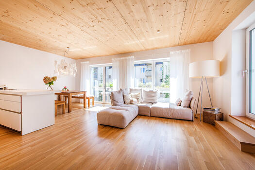 Light-filled living-dining area with open kitchen