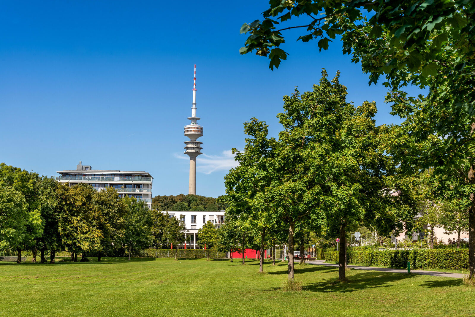 Spielwiese in der Nähe