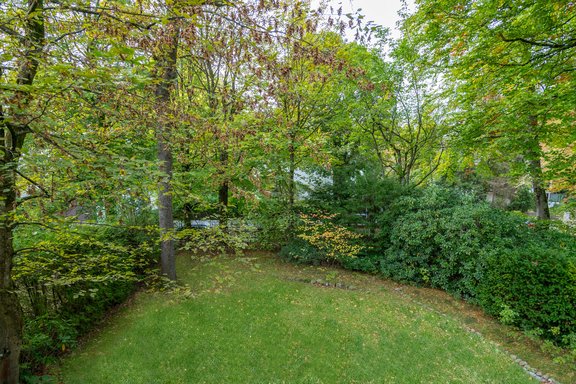 Blick in den grünen Garten