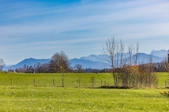 Dream view as far as the Alps