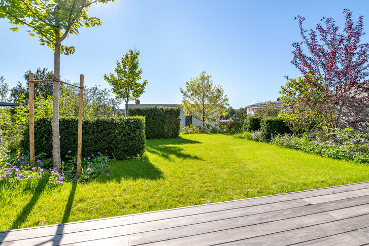 Sonniger Garten