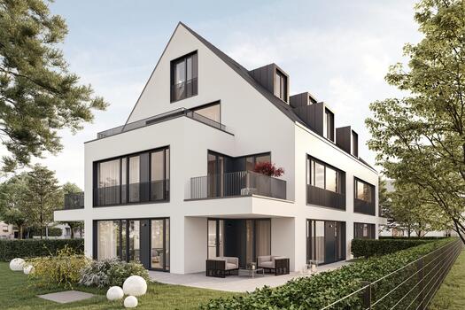 House view (illustration)