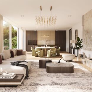 A Home Filled with Light (Visualization)