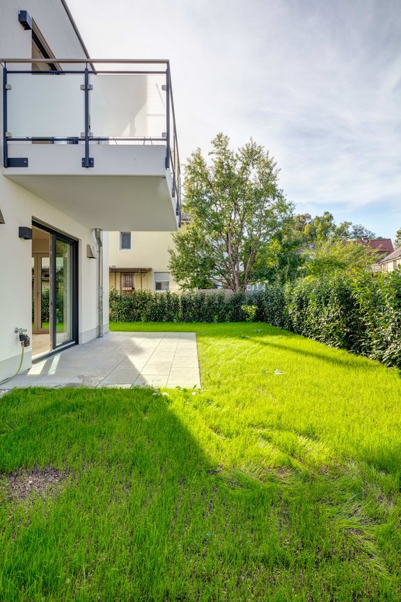 Neue Heckenbepflanzung