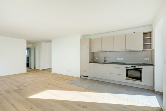 Moderne Einbauküche