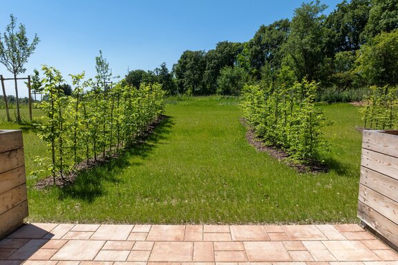 Sonniger Garten mit Weitblick