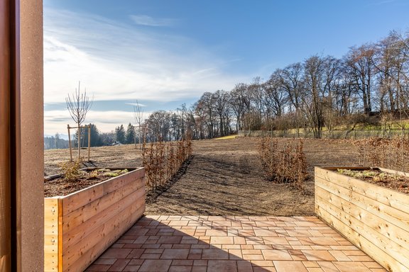 Sunny garden with a view