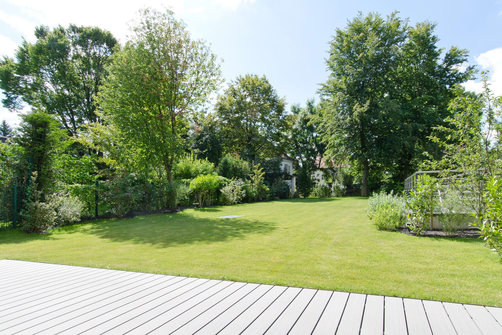 Blick in Garten