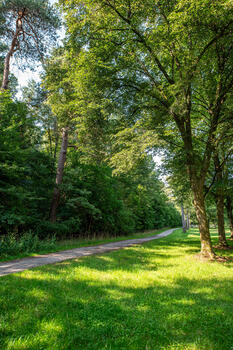 The nearby, extensive Perlacher Forst forest