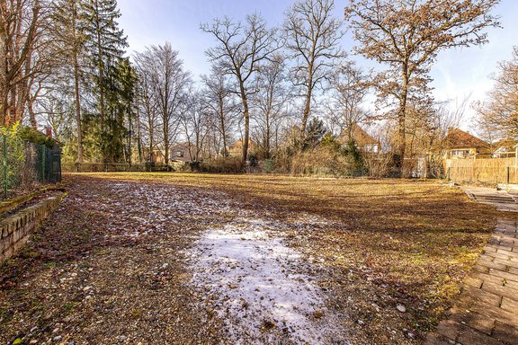 Prachtvoller Baumbestand der Nachbargärten