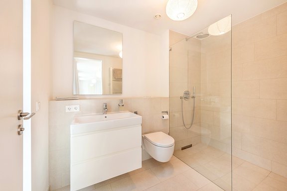 Duschbad mit Walk-in-Dusche