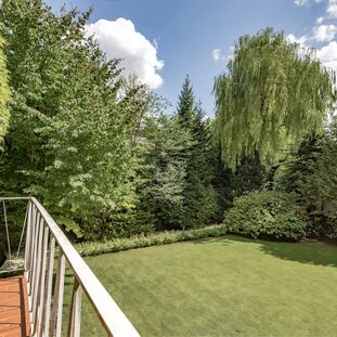 Views of the Park Garden