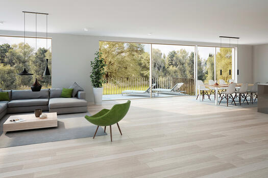 Visualization II-III - Living, dining and cooking area