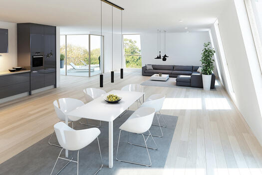 Visualization W V - Living, dining and cooking area