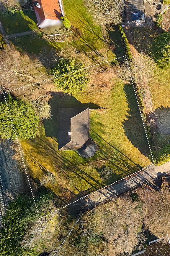 A property overgrown with vegetation