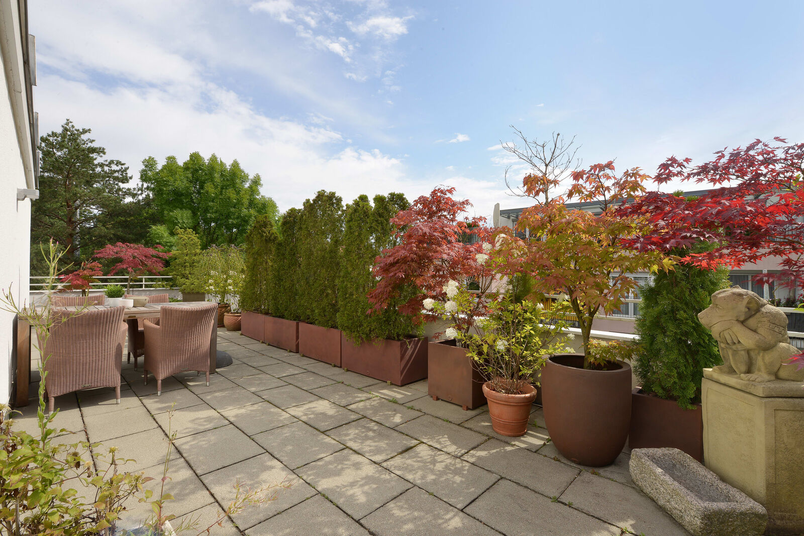 Sonnige Dachterrasse