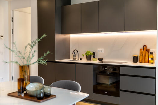 Modern fitted kitchen